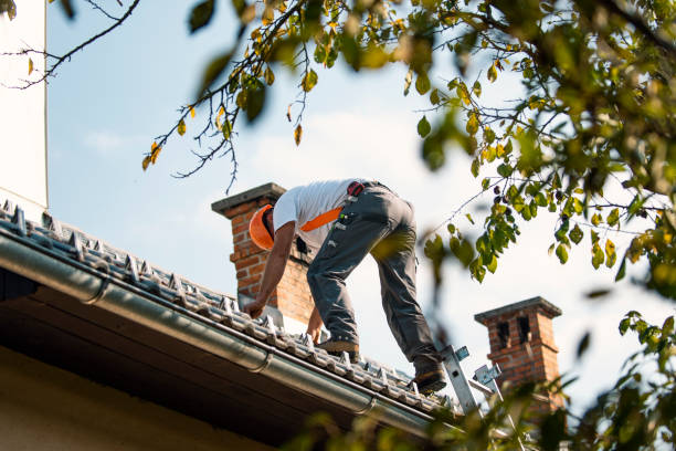 Best Metal Roofing Contractor  in Sandersville, GA